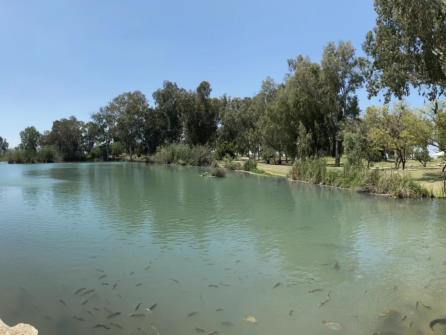 A park by the water
